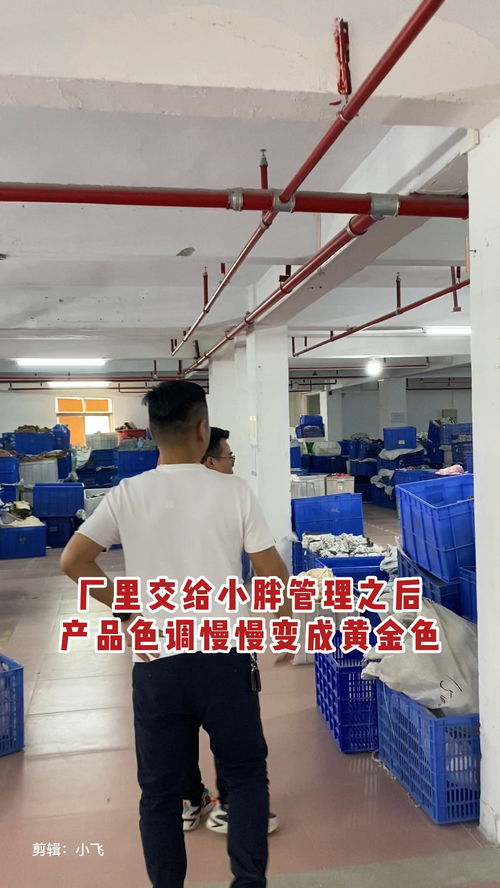 黄金时代 小胖的品牌色彩革命与工厂转型记